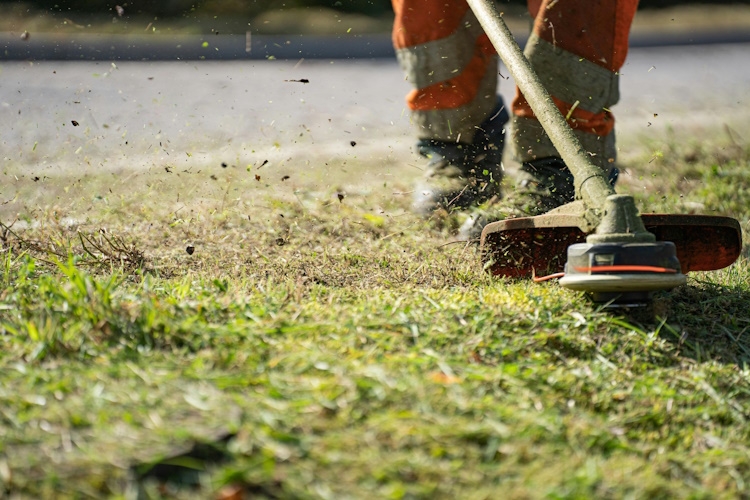 Precision weed eating and edging services